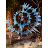 Figurine Toge Inumaki Jujutsu Kaisen avec effet d’énergie circulaire